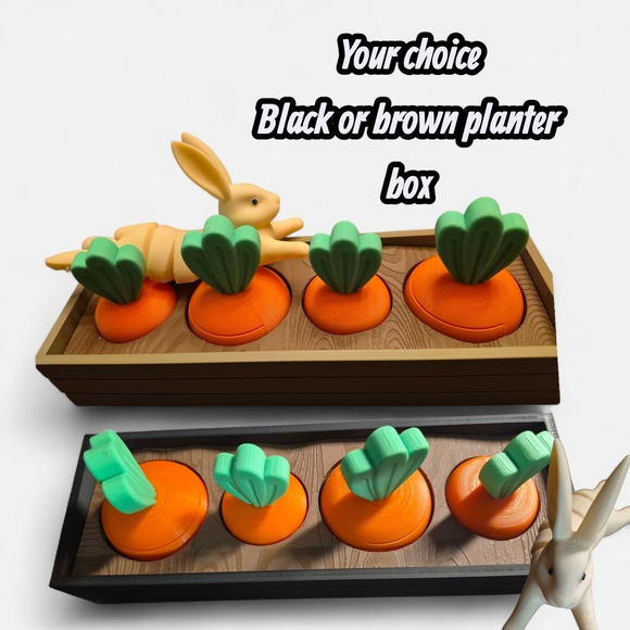 Other - Fidget Toy Set Collapsible Carrots Garden